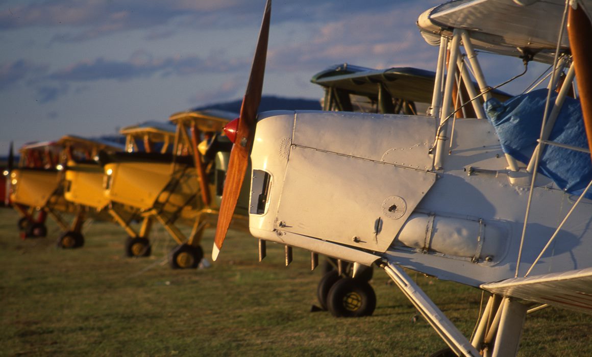 Airplanes parked on grass