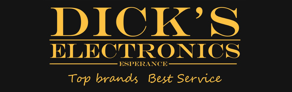 Drone safety advocate Dick's electronics