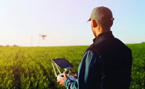 A man standing in front a field of green crops, holding the controls for a drone that is flying over them in the distance