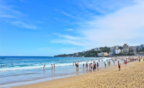 News of drone safety rules at Coogee Beach
