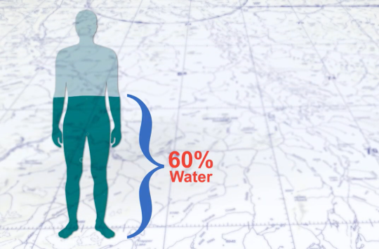 Outline of a human figure, with the bottom 60% shaded, with a label "60% water"