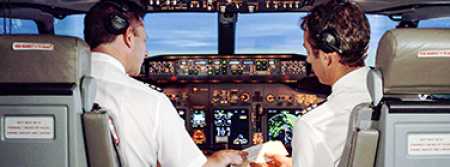 Flight simulation training device