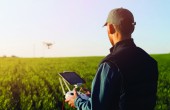 A man standing in front a field of green crops, holding the controls for a drone that is flying over them in the distance
